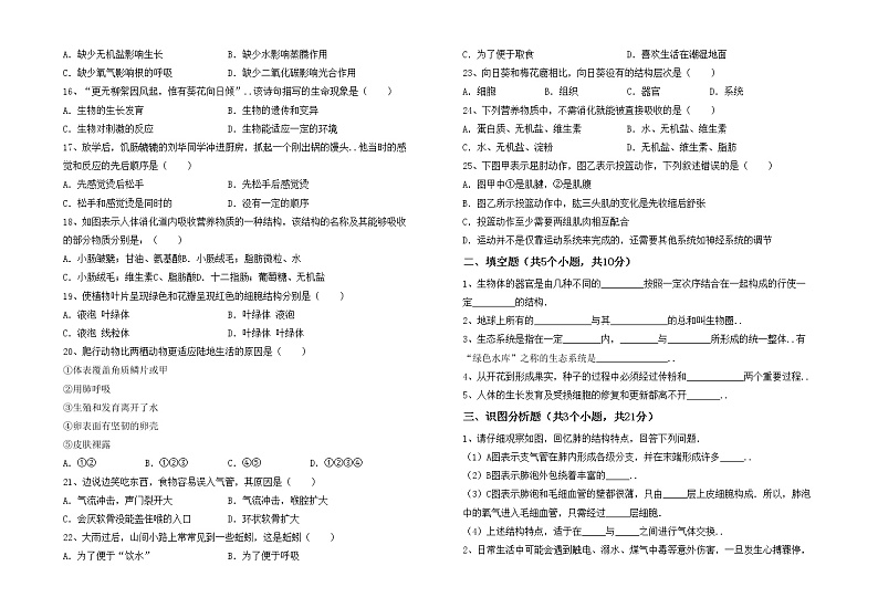鲁教版七年级生物上册期中测试卷（带答案）02