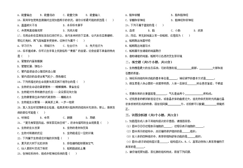 鲁教版七年级生物上册期中考试及答案【真题】第2页