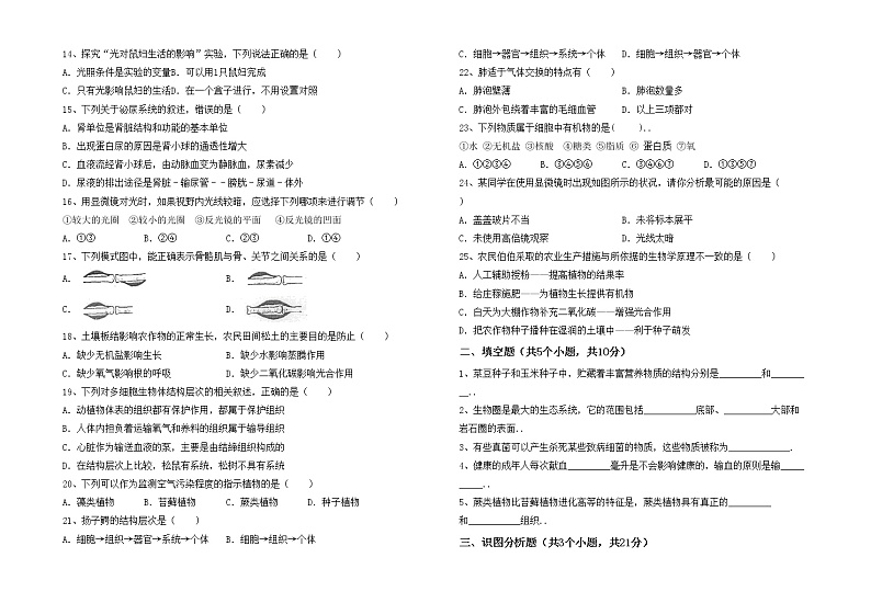 鲁教版七年级生物上册期中测试卷（最新）02