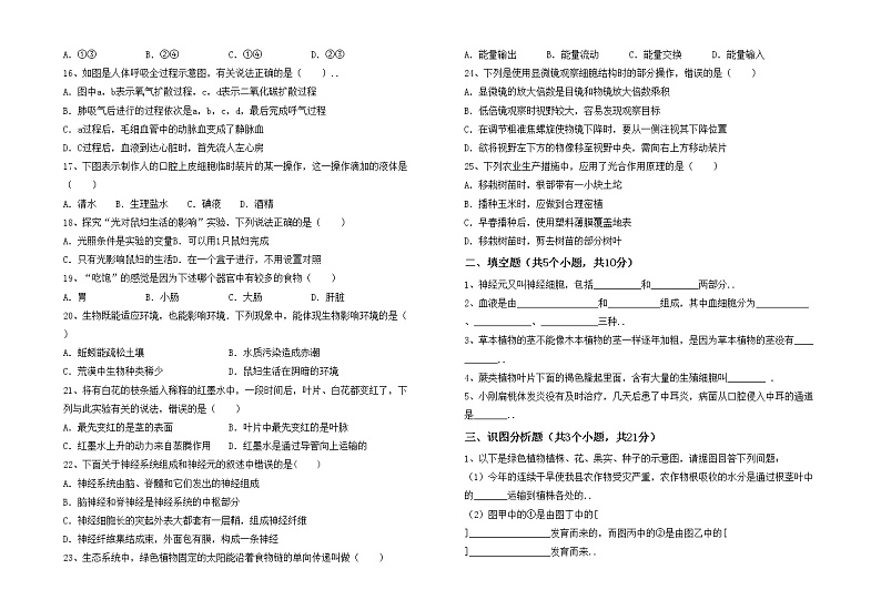 鲁教版七年级生物上册期中考试及答案练习题第2页