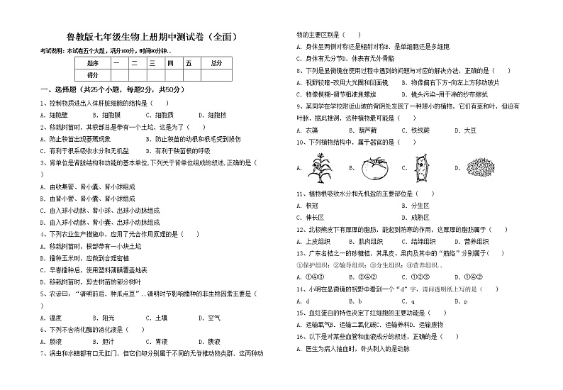 鲁教版七年级生物上册期中测试卷（全面）01