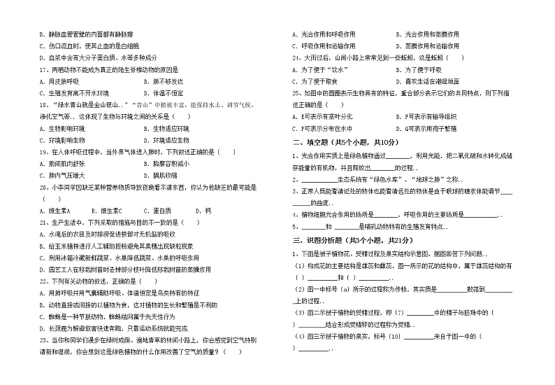 鲁教版七年级生物上册期中测试卷（全面）02