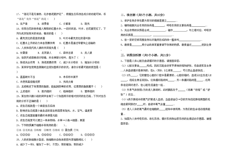鲁教版七年级生物上册期中考试及答案【完整】练习题02
