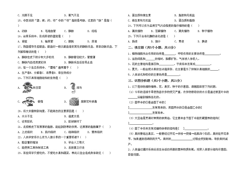 鲁教版七年级生物上册期中考试及答案【汇总】练习题02