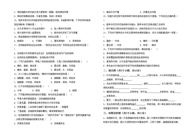 鲁教版七年级生物上册期中考试（一套）练习题第2页