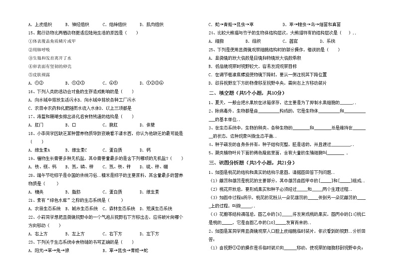 鲁教版七年级生物上册期中测试卷及完整答案02
