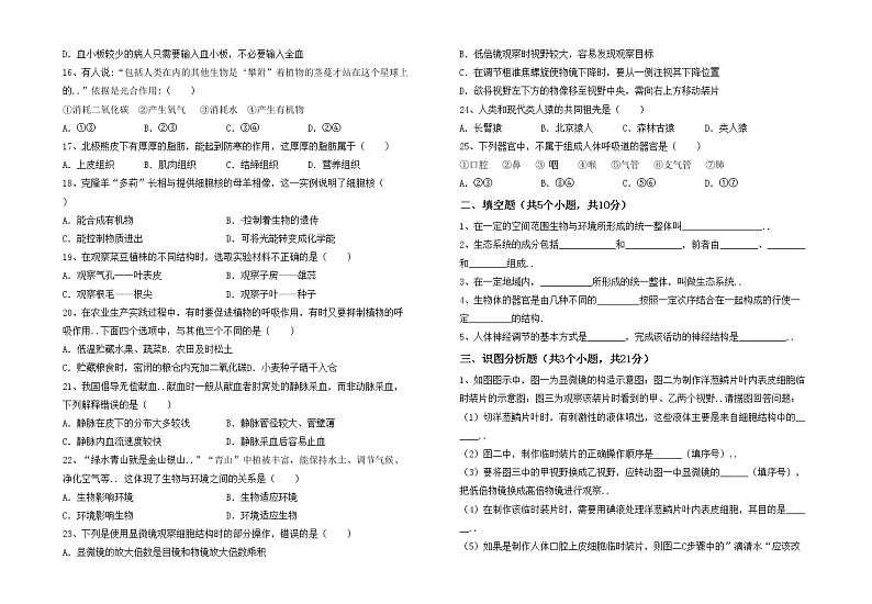 鲁教版七年级生物上册期中测试卷（通用）第2页