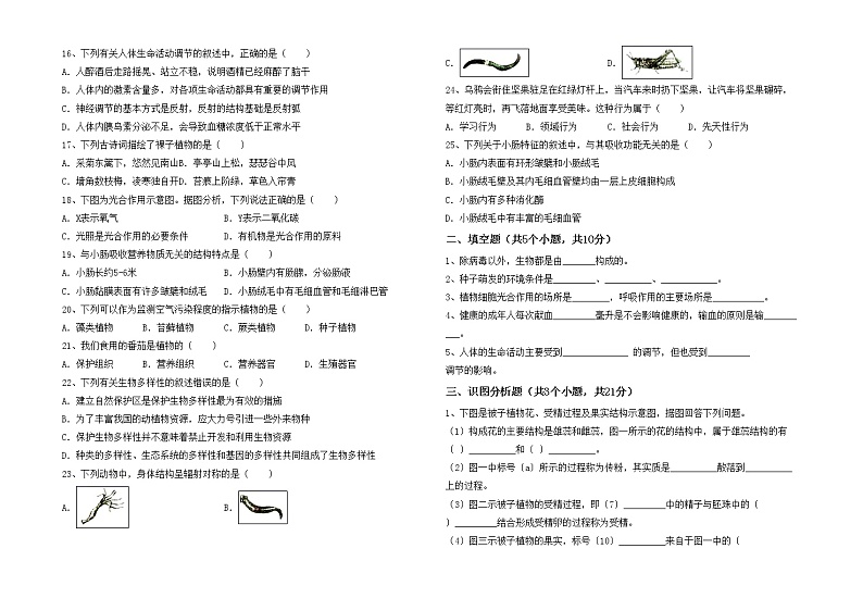 鲁教版七年级生物上册期中测试卷第2页