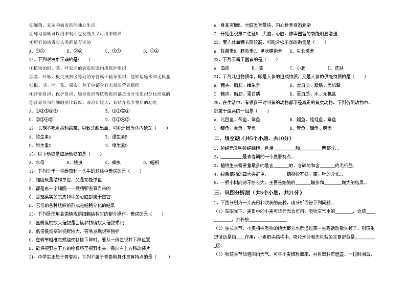 鲁教版七年级生物上册期中测试卷【参考答案】02