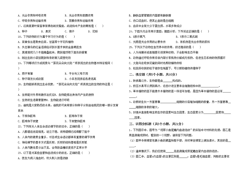 鲁教版七年级生物上册期中考试（免费）练习题02