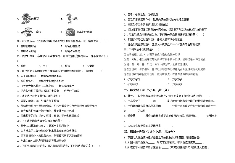 鲁教版七年级生物上册期中测试卷及答案【汇编】第2页