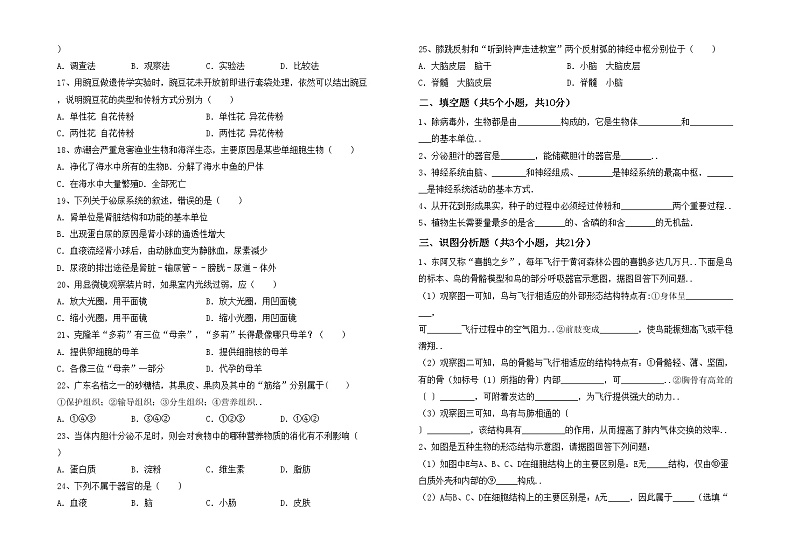 鲁教版七年级生物上册期中测试卷及答案（1）第2页