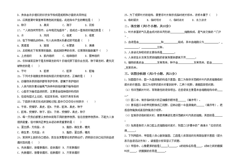 鲁教版七年级生物上册期中测试卷(及答案)第2页