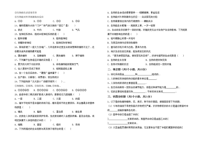 鲁教版七年级生物上册期中测试卷【加答案】02