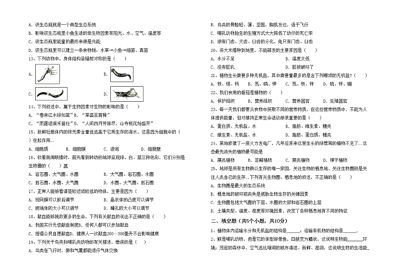 鲁教版七年级生物上册期中考试题【带答案】02