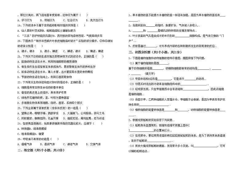 鲁教版七年级生物上册期中考试卷（加答案）02