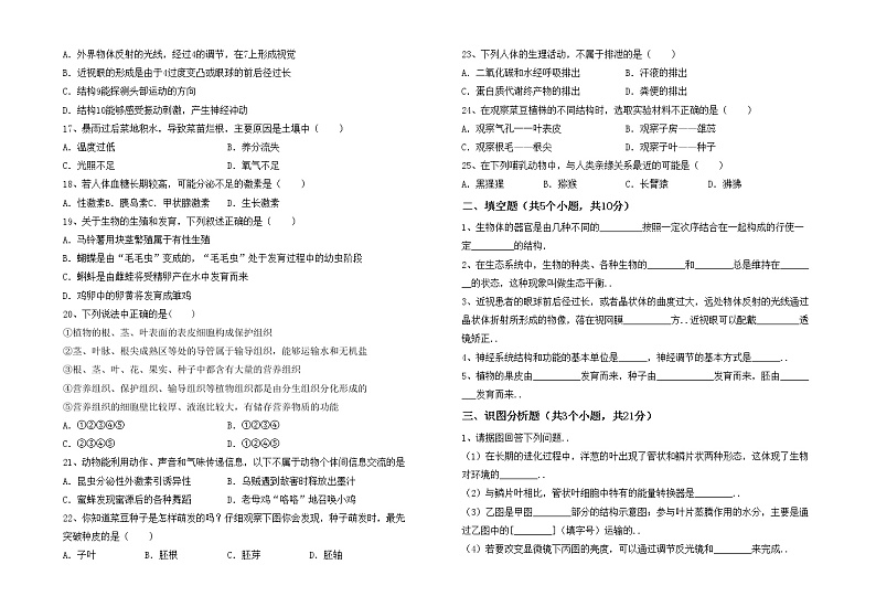 鲁教版七年级生物上册期中考试题附答案02