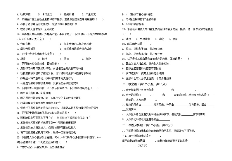 鲁教版七年级生物上册期中考试题（精品）第2页