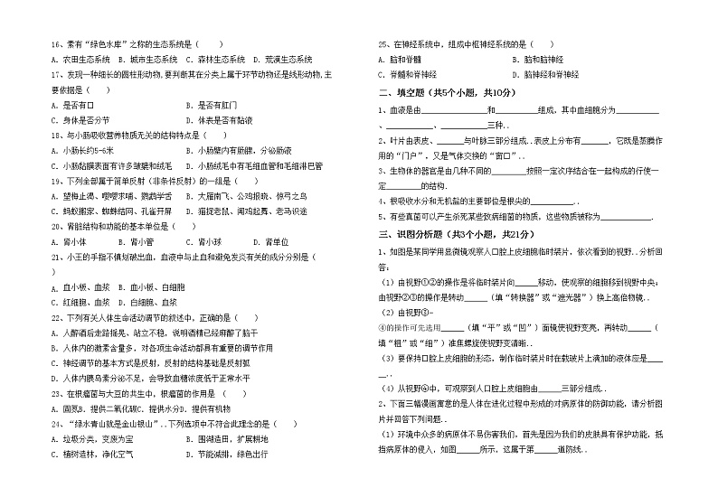 鲁教版七年级生物上册期中考试卷及完整答案第2页