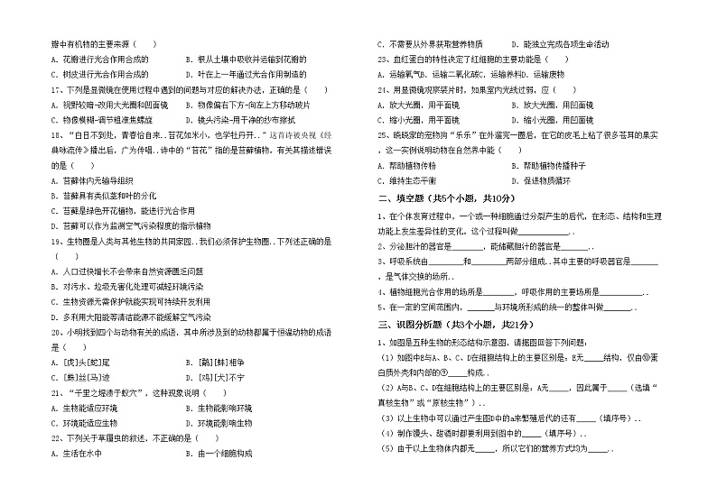 鲁教版七年级生物上册期中考试题【及答案】第2页