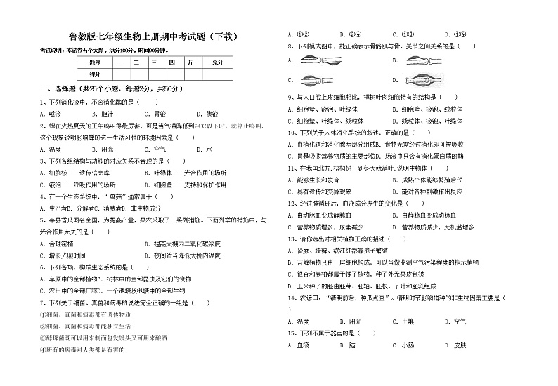 鲁教版七年级生物上册期中考试题（下载）第1页