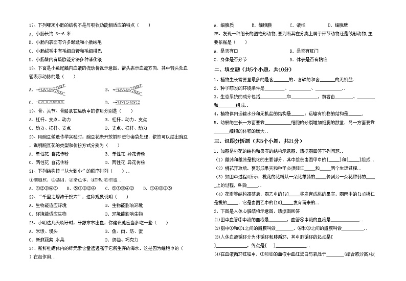 鲁教版七年级生物上册期中考试卷及答案免费第2页