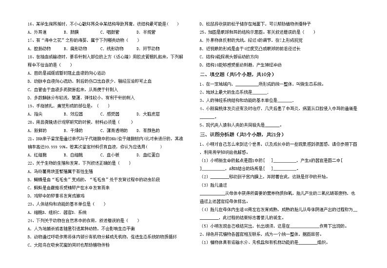 鲁教版七年级生物上册期中考试题及答案02