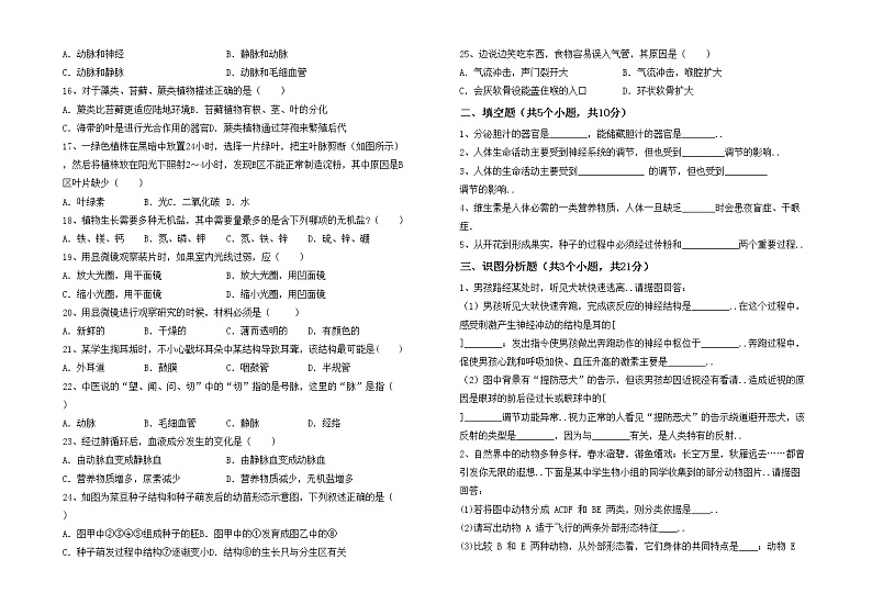 鲁教版七年级生物上册期中考试题(及答案)第2页