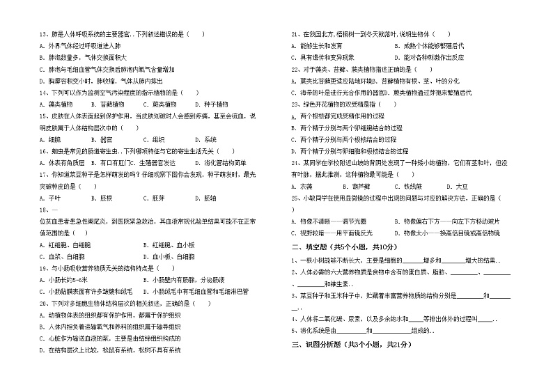 鲁教版七年级生物上册期中考试题【附答案】第2页