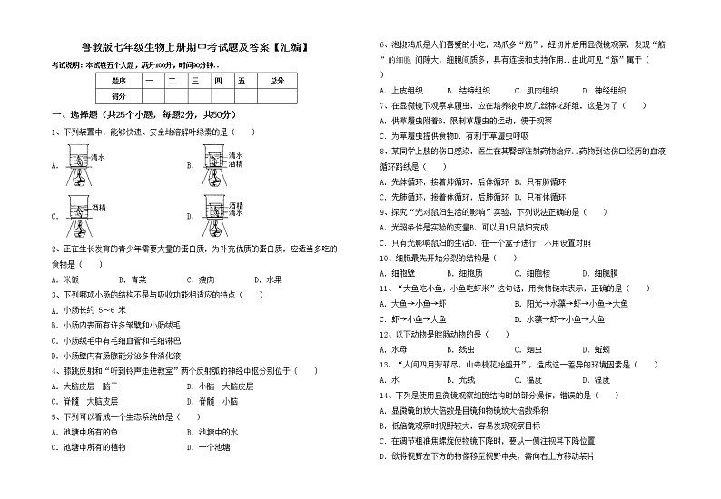 鲁教版七年级生物上册期中考试题及答案【汇编】第1页
