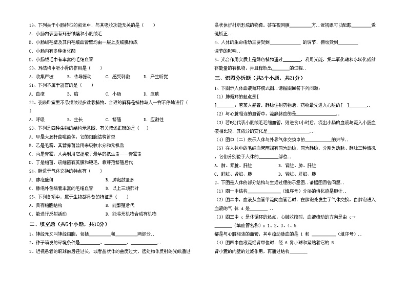 鲁教版七年级生物上册期中考试题及答案【汇总】02