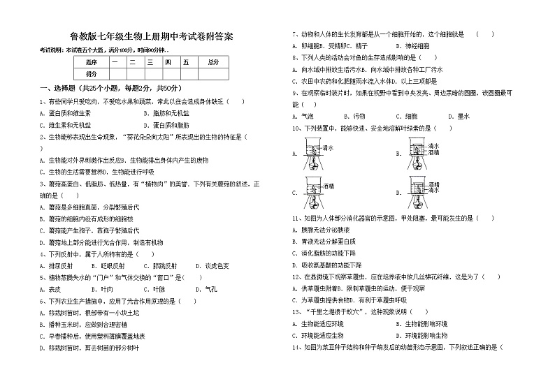 鲁教版七年级生物上册期中考试卷附答案01