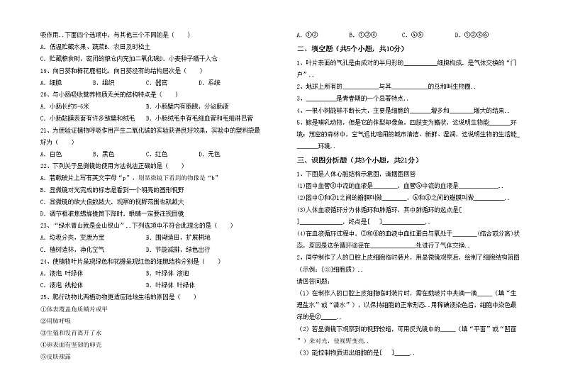 鲁教版七年级生物上册期中试卷及答案2第2页
