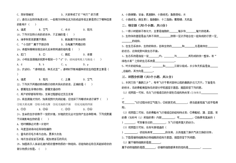 鲁教版七年级生物上册期中考试题及答案【新版】第2页