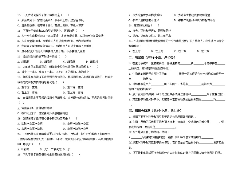 鲁教版七年级生物上册期中模拟考试及完整答案练习题02