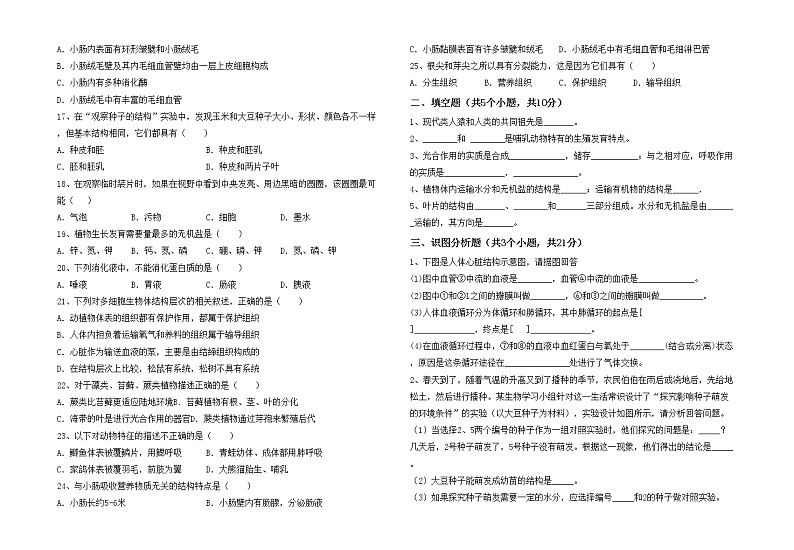 鲁教版七年级生物上册期中考试题及答案【下载】第2页