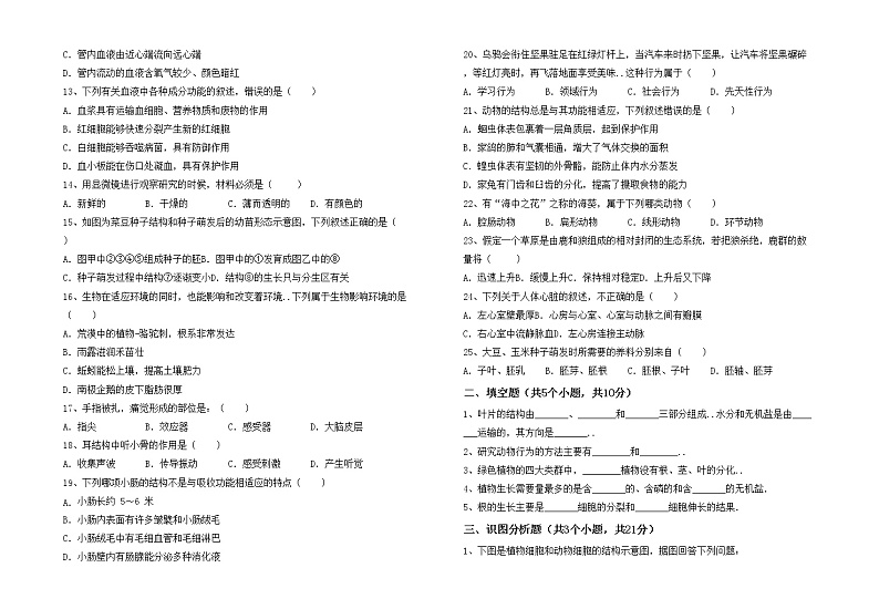 鲁教版七年级生物上册期中模拟考试及答案下载练习题第2页