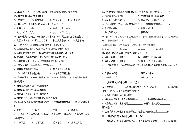 鲁教版七年级生物上册期中试卷及答案【通用】第2页