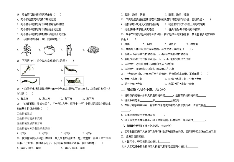鲁教版七年级生物上册期中模拟考试及答案1套练习题第2页