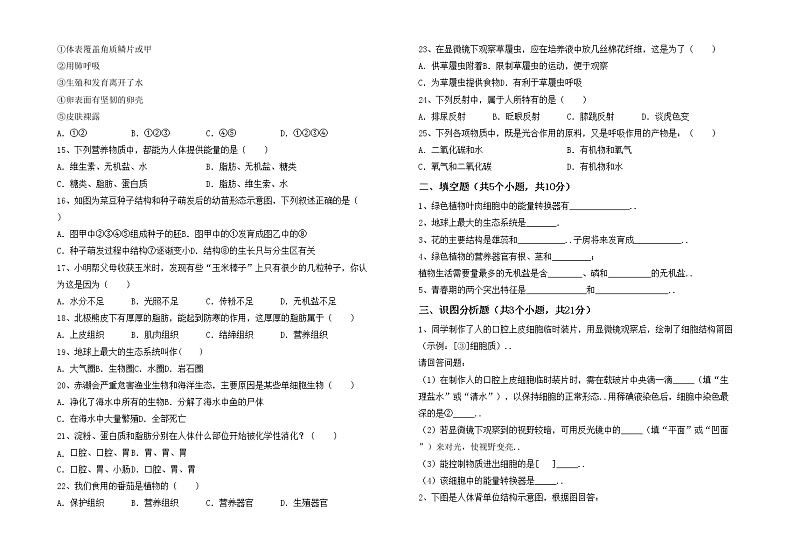 鲁教版七年级生物上册期中试卷（汇编）第2页