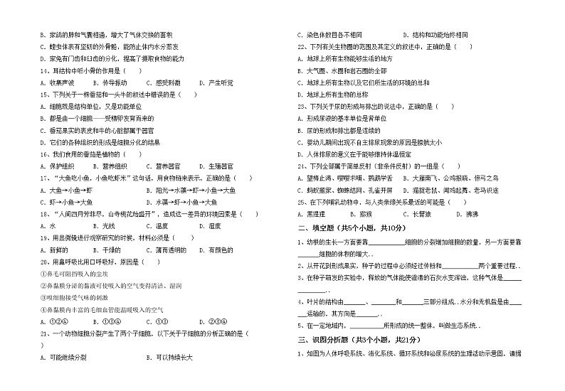 鲁教版七年级生物上册期中模拟考试（附答案）练习题02