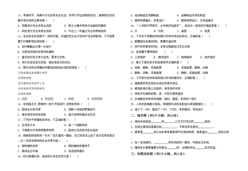 鲁教版七年级生物上册期中试卷及答案【一套】第2页
