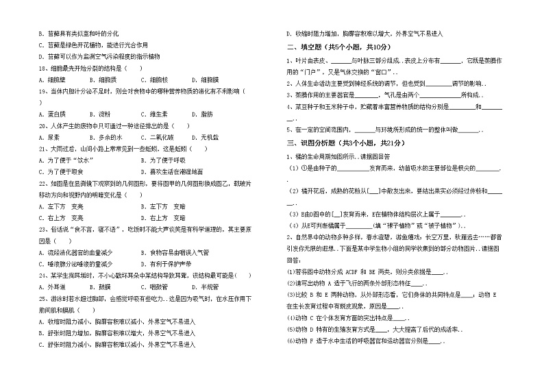 鲁教版七年级生物上册期中试卷【及答案】第2页
