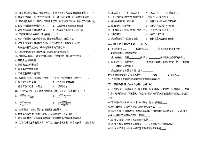 鲁教版七年级生物上册期中模拟考试【含答案】练习题02