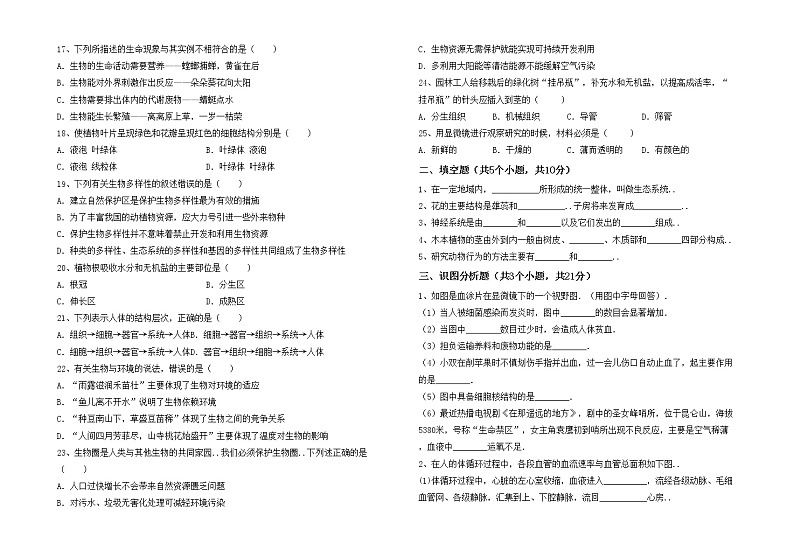 鲁教版七年级生物上册期中试卷及答案第2页