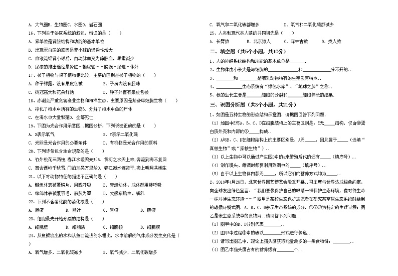 鲁教版七年级生物上册期中试卷(及答案)02