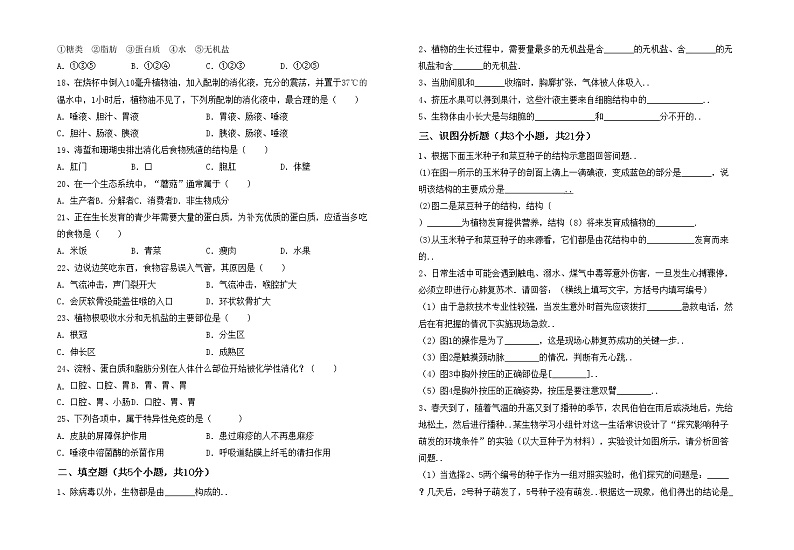 鲁教版七年级生物上册期中试卷附答案02