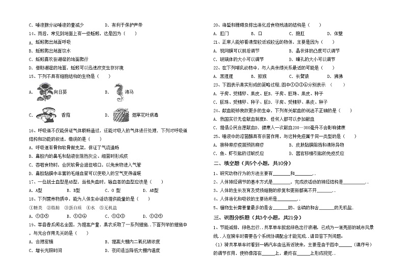 鲁教版七年级生物上册期中试卷（精品）02
