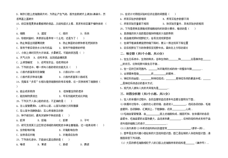 鲁教版七年级生物上册期中模拟考试【附答案】练习题02
