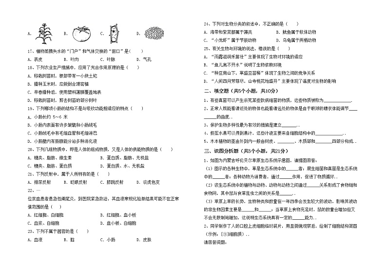 鲁教版七年级生物上册期中试卷及参考答案02